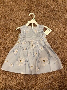 Carter's Light Blue Floral Ruffle Dress